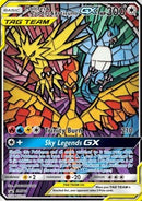 Moltres & Zapdos & Articuno GX (SM 210) FR
