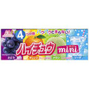 MORINAGA HI-CHEW MINI ASSORTED CHEWY CANDY 40G