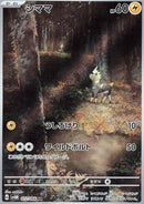 Zébibron (sv4M 072)