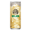 CANADA DRY GINGER ALE 250ML