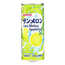 SANGARIA SPARKLING SAN MELON 250ML