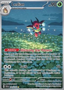 Coxyclaque (SCR 144) FR